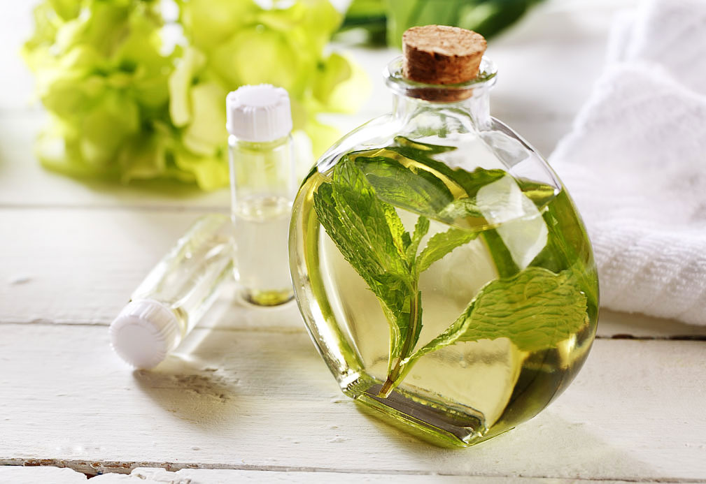 Fresh Mint Massage Oil recipe made with canola oil 