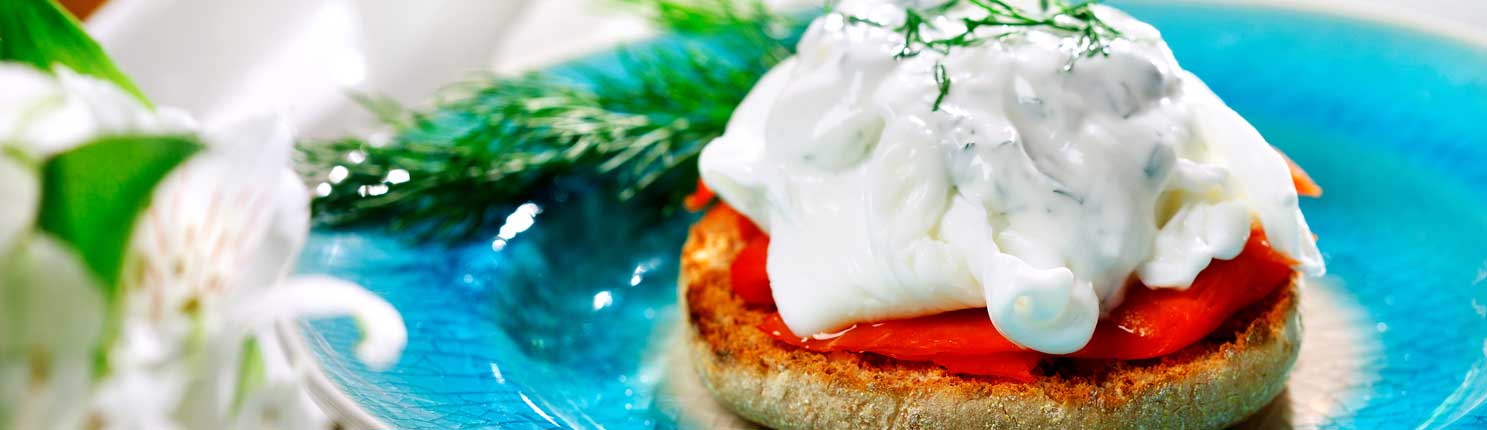 Ir a recetas con aceite de canola